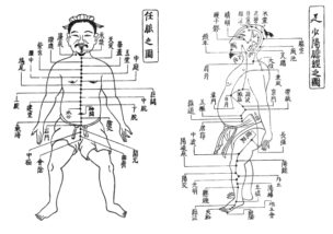 経絡図